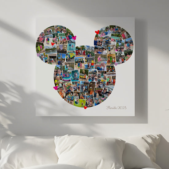 Mickey head Florida collage