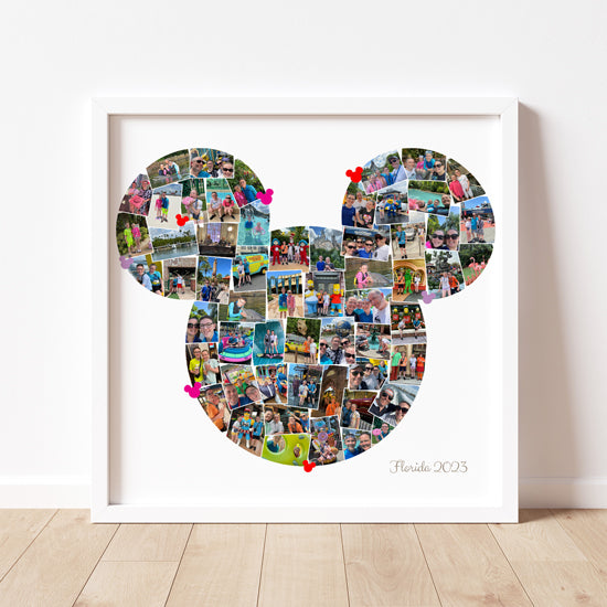 Mickey head Florida collage